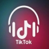 Radio TikTok