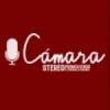 Cámara Stereo