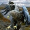 Rádio Comunidade Gospel Eagles