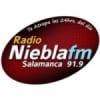 Radio Niebla 91.9 FM