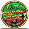 Rádio Estação Reggae