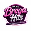 Rádio Web Agroamazônia