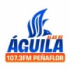 Radio Alas de Águila 107.3 FM