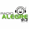 Radio Alegre 91.3 FM