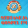 Rádio Sertaneja Gospel FM