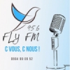 Radio Fly 95.6 FM
