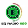 EQ Radio 593