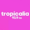 Radio Tropicalia 93.9 FM
