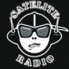 Radio Estación Satélite 100.1 FM