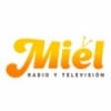 Radio Miel 92.9 FM