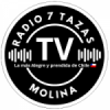 Radio 7 Tazas de Molina