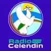Radio Celendín 95.5 FM