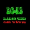 RO-K8 Radio Web