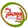 Rádio Galinha Choca