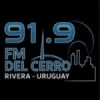 Radio del Cerro 91.9 FM