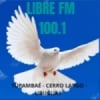 Radio Libre 100.1 FM