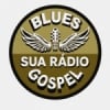 Sua Rádio Blues Gospel