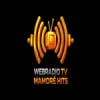 Web Rádio Mamoré Hits