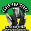 Rádio Top Cedro