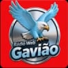 Rádio Web Gavião