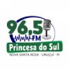 Rádio Princesa Do Sul
