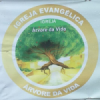 Web Rádio Árvore da Vida