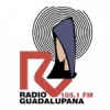 Radio Guadalupana 105.1 FM