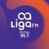 Rádio Liga 95.7 FM
