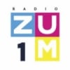 Radio Zum 1 93.3 FM