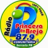 Rádio Princesa do Brejo 87.9 FM