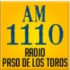 Radio Paso de Los Toros 1110 AM
