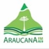 Radio Araucana 95.9 FM