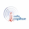 Radio Copihue FM 105.1 FM