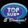 Top Sul FM