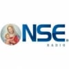 NSE Radio 91.3 FM