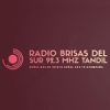 Radio Brisas del Sur 92.3 FM