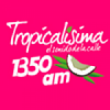 Radio Tropicalísima 1350 AM