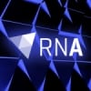 Radio Nacional d'Andorra 94.2 FM