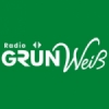 Radio Gruen Weiss 106.6 FM