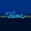 Radio Paloma 106 FM
