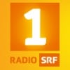 Radio SRF 1 94.6 FM