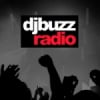 Vibration DJ Buzz Radio