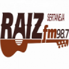 Rádio Raiz 98.7 FM