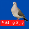 Rádio Juriti 98.7 FM