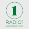 Radio 1 Akustiske Hits