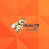 Rádio Abelha 104.9 FM