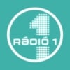 Radio 1 89.5 FM