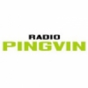 Pingvin 90.9 FM