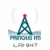 Radio Pringles 100.3 FM