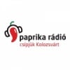 Paprika 95.1 FM